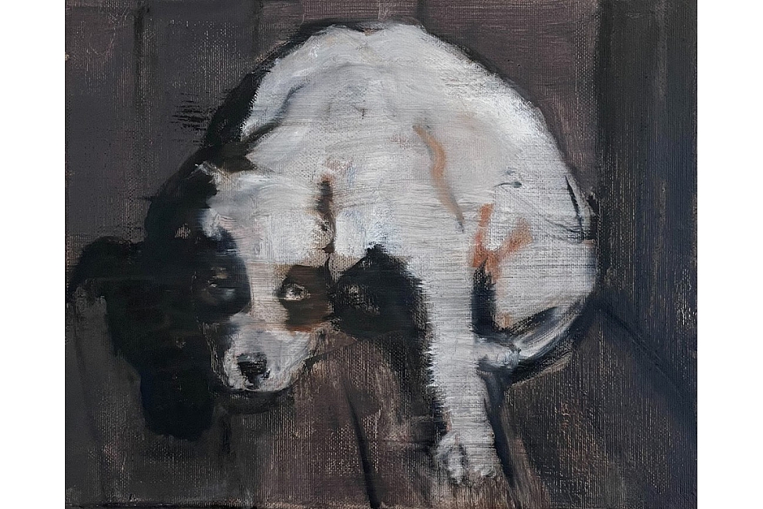 "Shelter Dog" 30 x 40 cm 2021