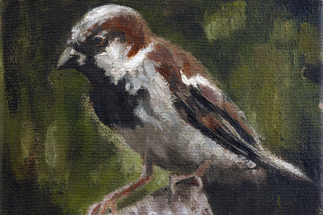 Oilpaint on canvas 13 x 18 cm 2011